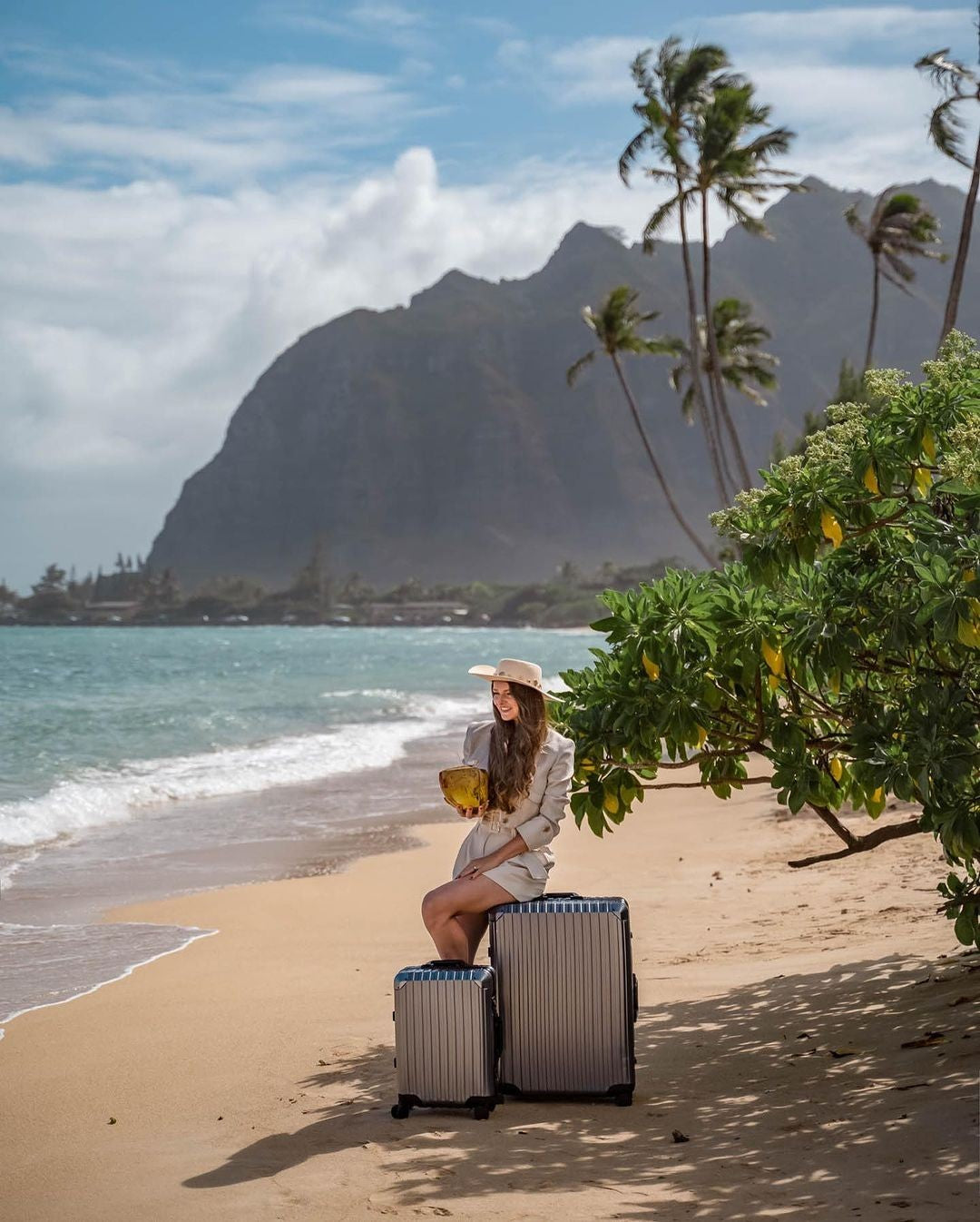 Rova Aluminum Suitcase Gunmetal